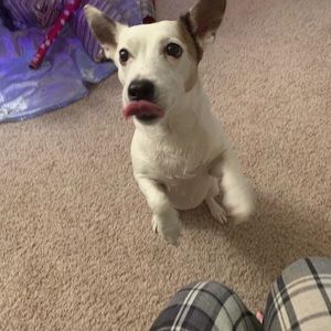 Meet your Posher, Mariah